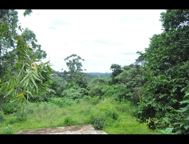 5,931M² VACANT LAND FOR SALE IN FOREST HILLS